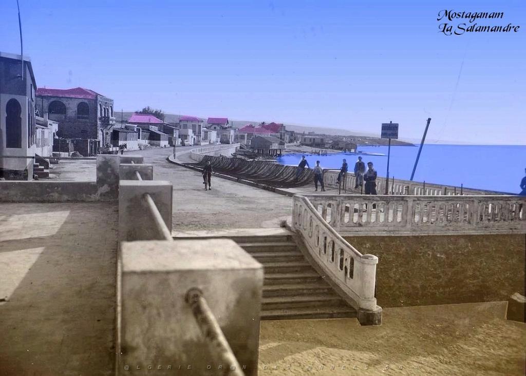Mostaganem 157- La Salamandre.JPG
